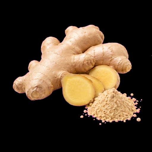 Ginger