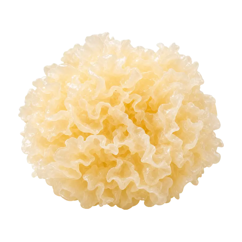 Tremella